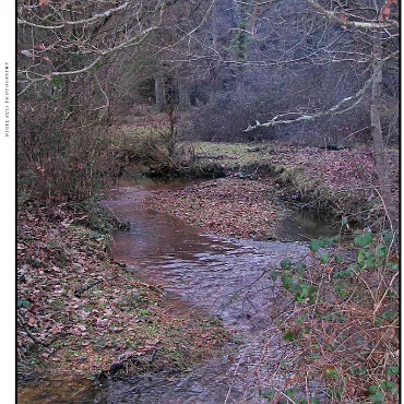Ringwood, Hampshire, UK Nestled at the edge (now) of the New Forest, Ringwood is my home town in the UK